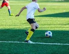 民营企业座,谈会,全球视角,中欧体育官网,H5中欧体育官网,中欧体育官网在线娱乐平台