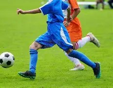 东契奇遭灰,熊球员推摔,意外落入美,中欧体育官网,H5中欧体育官网,中欧体育官网在线娱乐平台