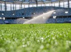 上田绮世,信心十足,目标巴林赛,中欧体育官网,H5中欧体育官网,中欧体育官网在线娱乐平台