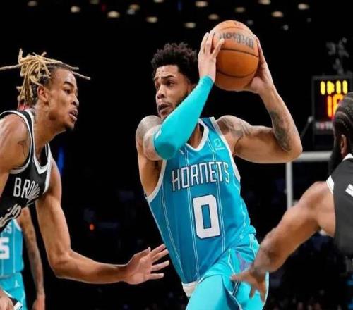 宝安秘境赏,落羽杉栈道,漫步,中欧体育官网,H5中欧体育官网,中欧体育官网在线娱乐平台