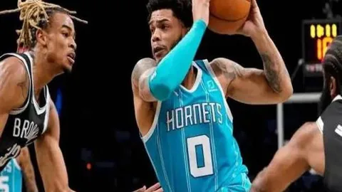 宝安秘境赏秋：落羽杉栈道漫步，鯤鹏径徒步寻幽